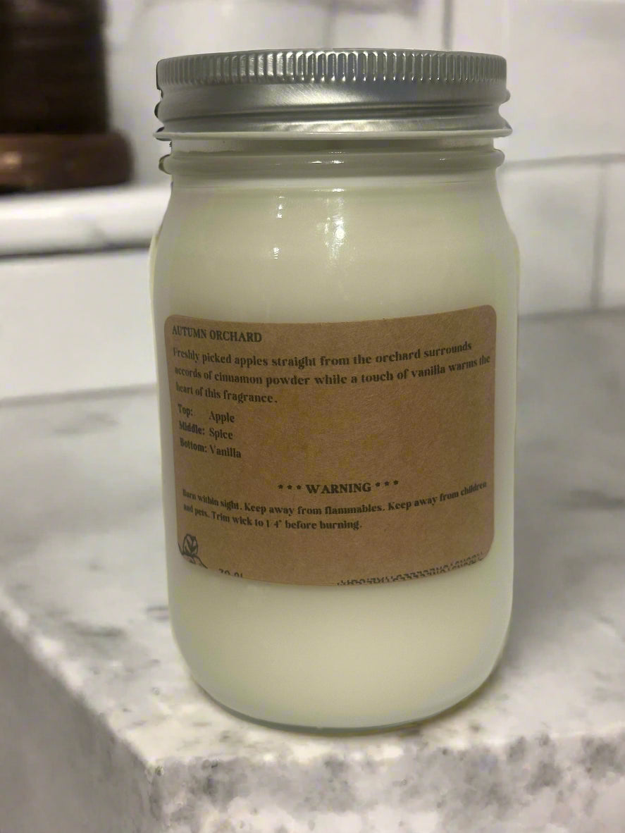 16 oz Glass Jar Soy Wax Candles / Fall - Winter Season Scents