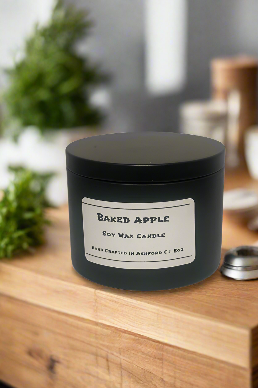 8 oz Soy Wax Candles / Fall - Winter Season Scents