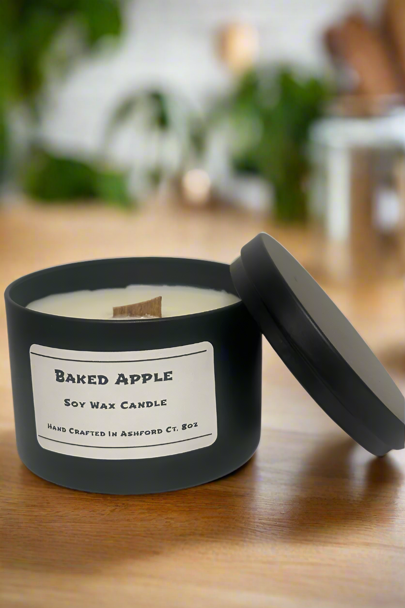 8 oz Soy Wax Candles / Fall - Winter Season Scents
