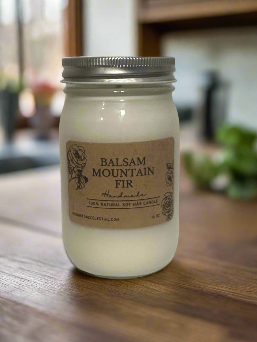 16 oz Glass Jar Soy Wax Candles / Fall - Winter Season Scents
