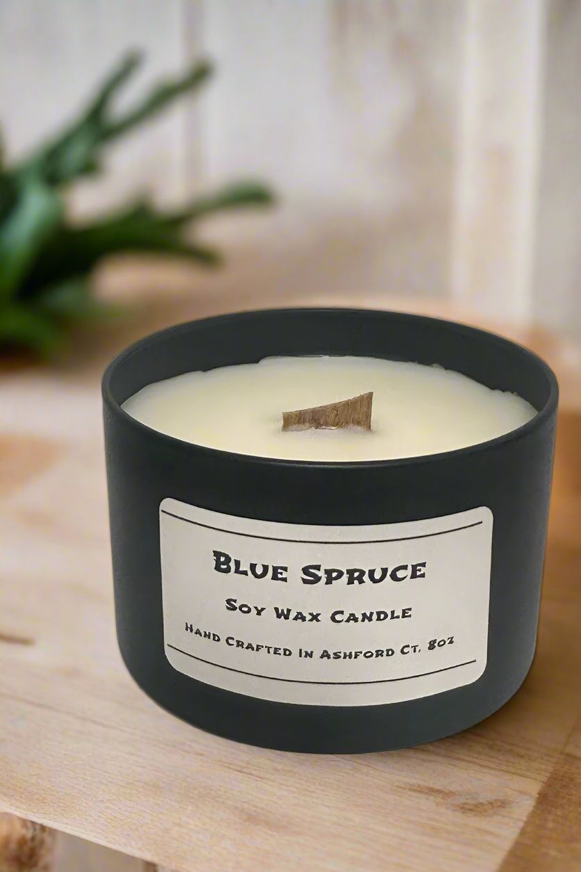 8 oz Soy Wax Candles / Fall - Winter Season Scents
