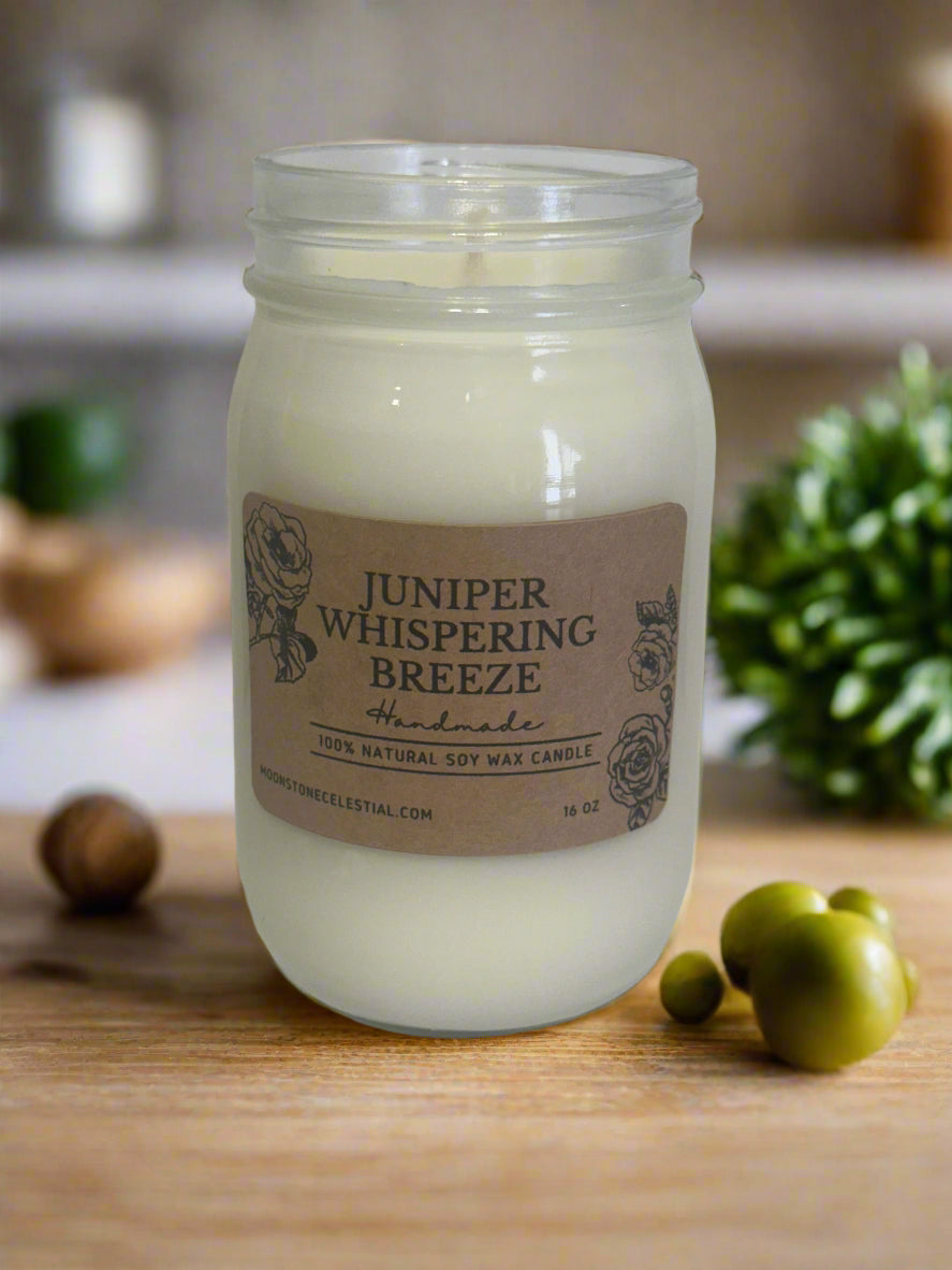 16 oz Soy Wax Candles / Spring - Summer Season Scents
