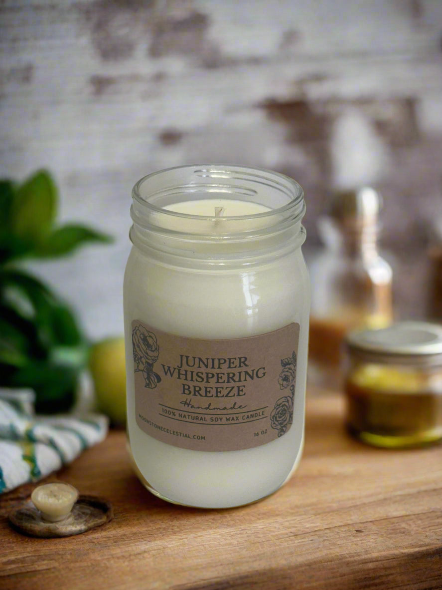 16 oz Soy Wax Candles / Spring - Summer Season Scents