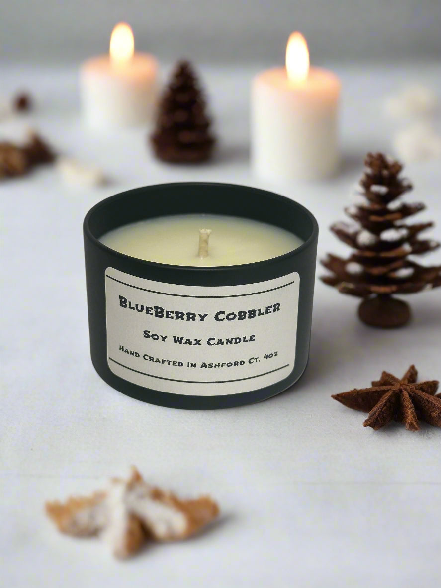 4 oz Soy Wax Candles / Fall - Winter Season Scents