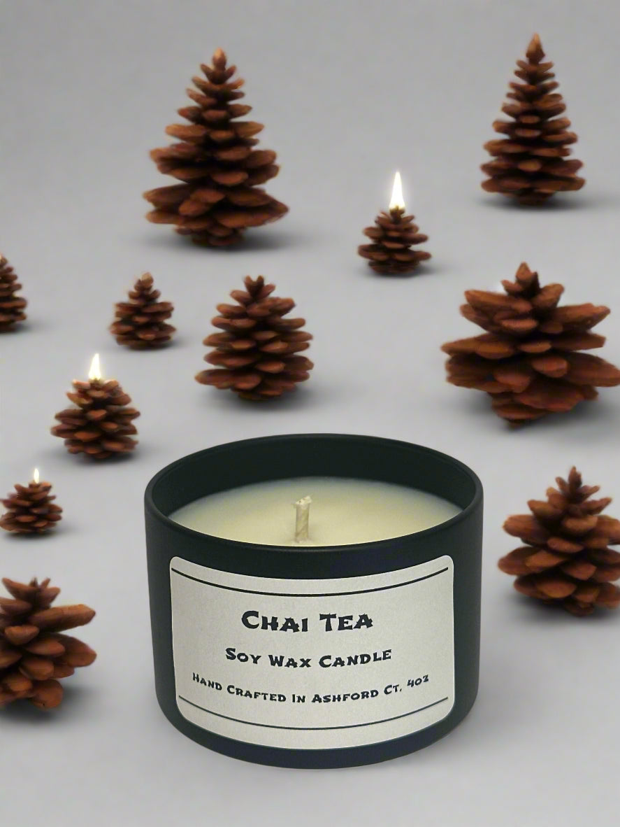 4 oz Soy Wax Candles / Fall - Winter Season Scents