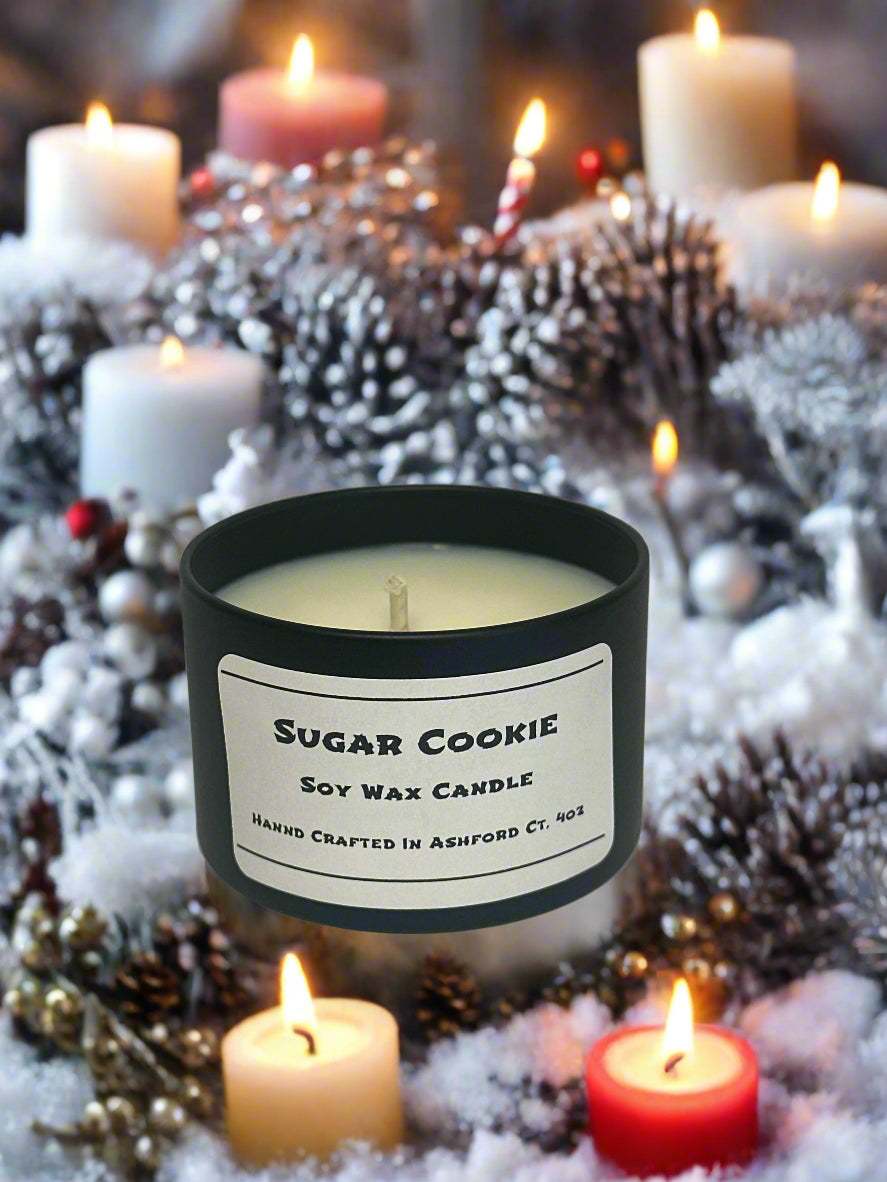 4 oz Soy Wax Candles / Fall - Winter Season Scents