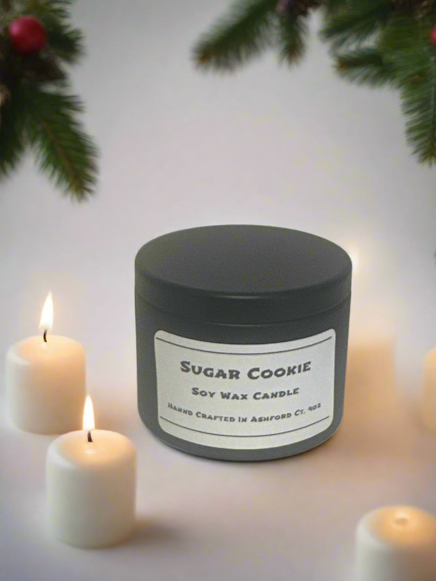 4 oz Soy Wax Candles / Fall - Winter Season Scents