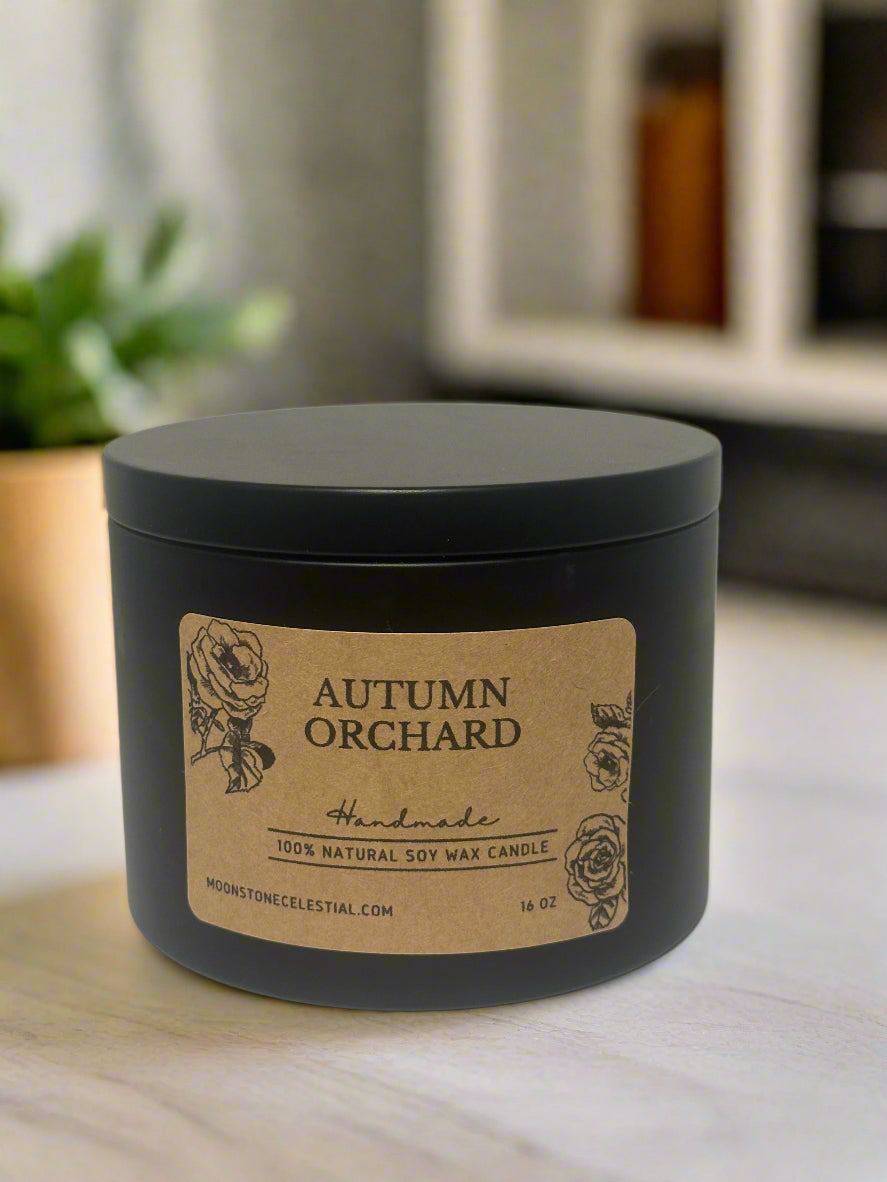 16 oz Soy Wax Candles / Spring - Summer Season Scents