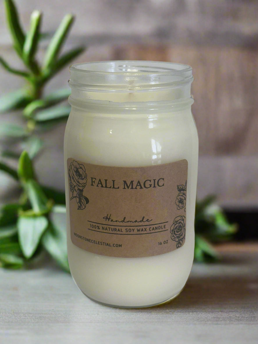 16 oz Glass Jar Soy Wax Candles / Fall - Winter Season Scents