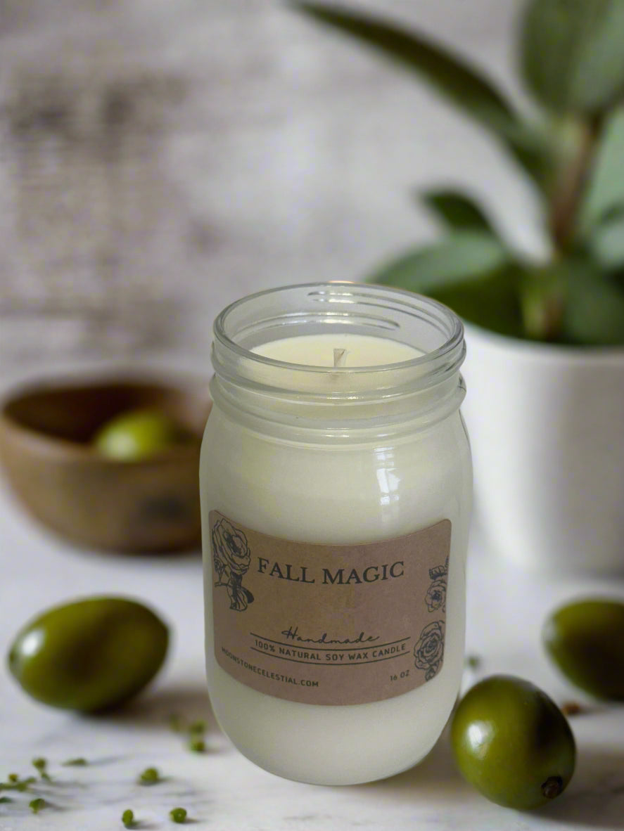 16 oz Glass Jar Soy Wax Candles / Fall - Winter Season Scents