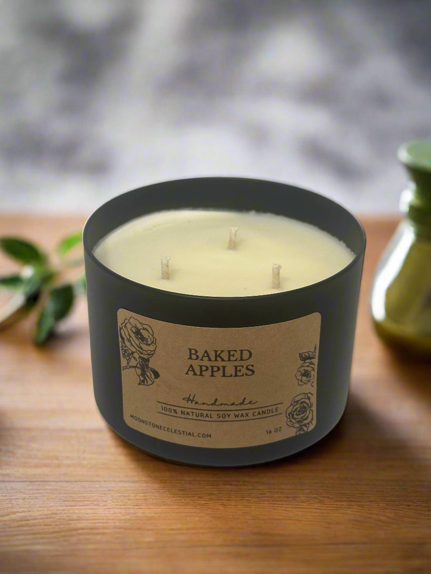 16 oz Soy Wax Candles / Spring - Summer Season Scents