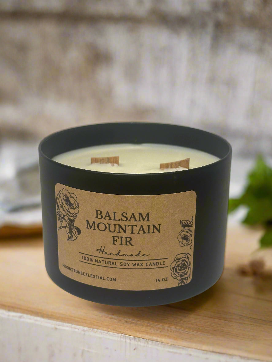 16 oz Soy Wax Candles / Spring - Summer Season Scents