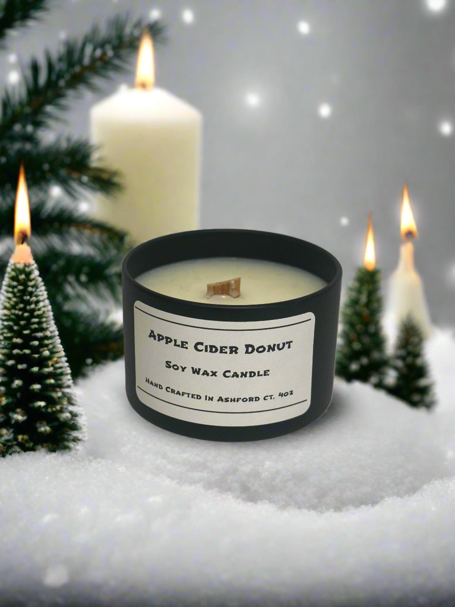 4 oz Soy Wax Candles / Fall - Winter Season Scents