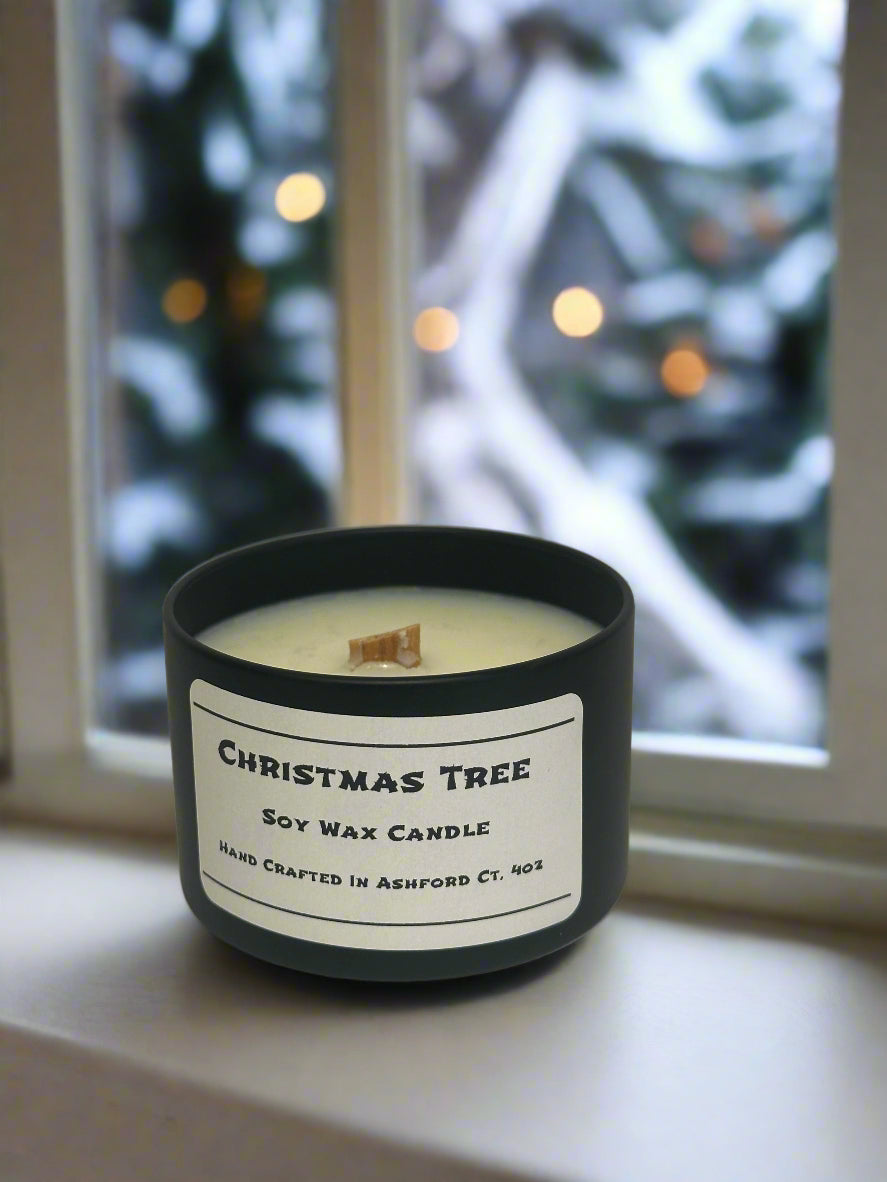 4 oz Soy Wax Candles / Fall - Winter Season Scents
