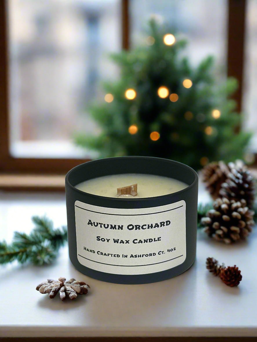 4 oz Soy Wax Candles / Fall - Winter Season Scents