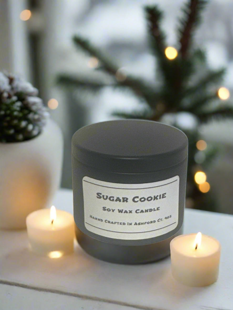 4 oz Soy Wax Candles / Fall - Winter Season Scents