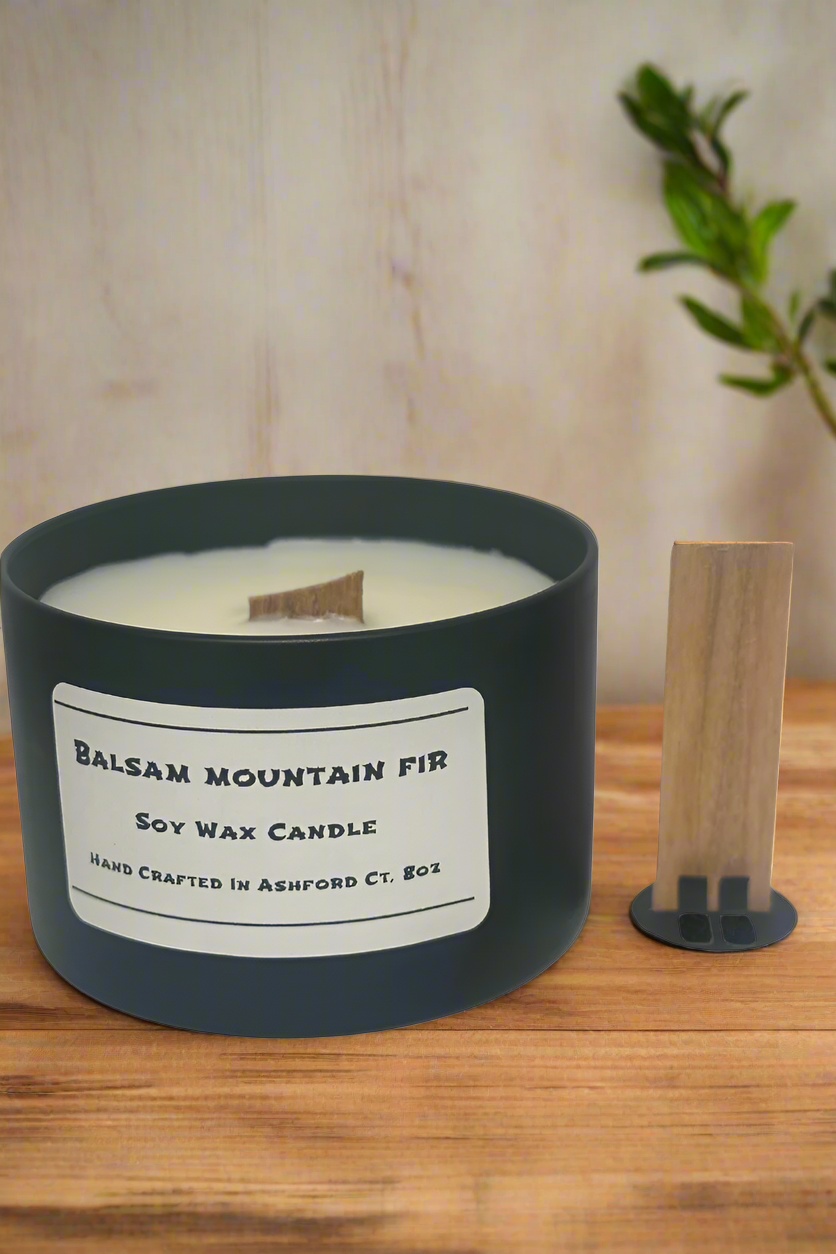 8 oz Soy Wax Candles / Fall - Winter Season Scents