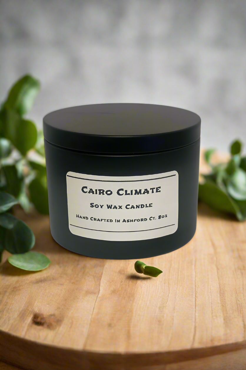 8 oz Soy Wax Candles / Spring - Summer Season Scents