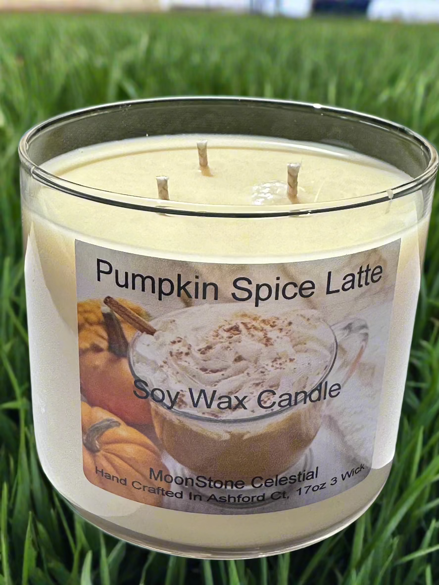 17 oz Triple Wick Soy Wax Candles / Fall - Winter Season Scents
